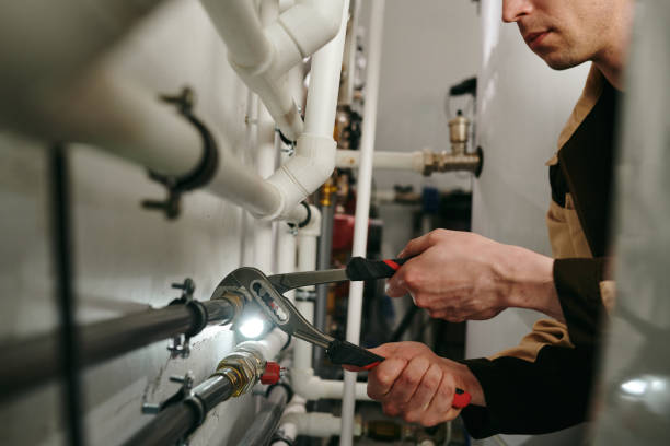 Best Plumbing Installation Services  in Farmland, IN