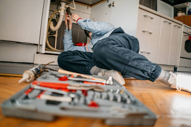Best Sewer Cleaning Services  in Farmland, IN