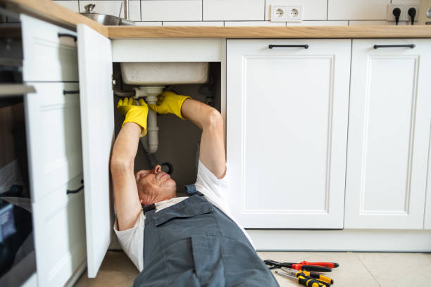 Best Affordable Plumbing Services  in Farmland, IN