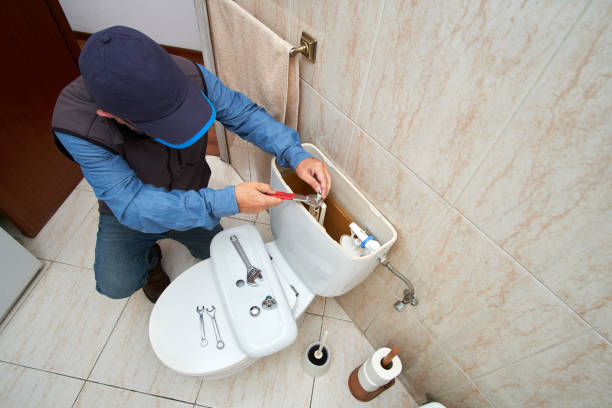 Best Plumbing Services Near Me  in Farmland, IN