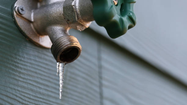 Best Drain Cleaning Services  in Farmland, IN