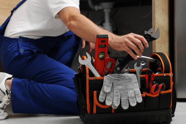 Best Clogged Drain Plumber  in Farmland, IN